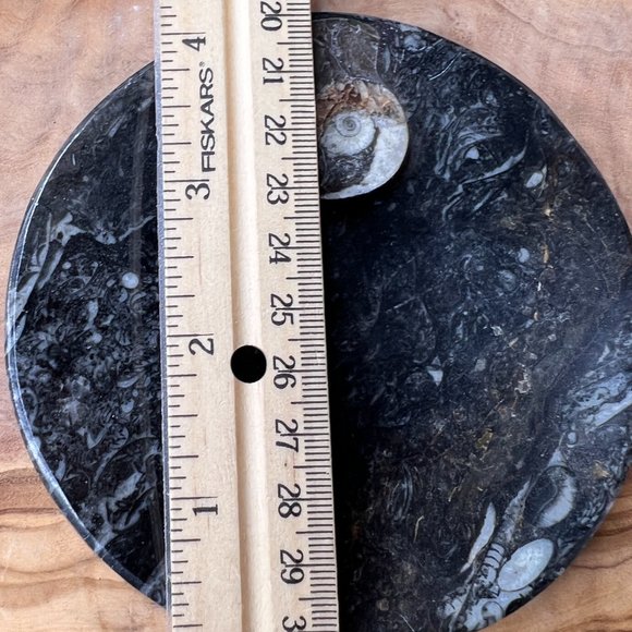 Genuine Orthoceras Fossil - Fossil Oval Ammonite Trinket dish from Morocco - Picture 5 of 11